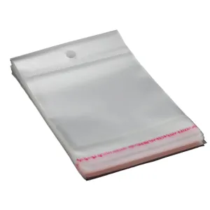 Polyprop Cellophane Selfseal Bags 20x26cm Punch Hanging Hole 100pack