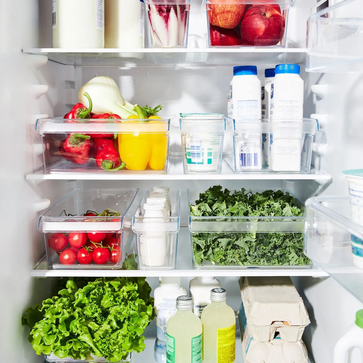 Rotho - (Set of 3) LOFT Fridge Organizer Storage Container (1006400096)