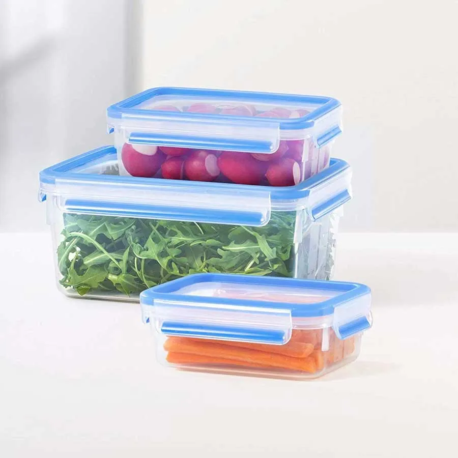 Tefal, MasterSeal Set of 3 2.30 L   1 L   0.55 L – K3028912